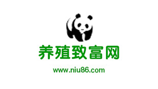 巨推科技微信公眾號(hào)代運(yùn)營(yíng)