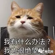 微商文案猖狂？其實他們才是真正的文案天才！ 